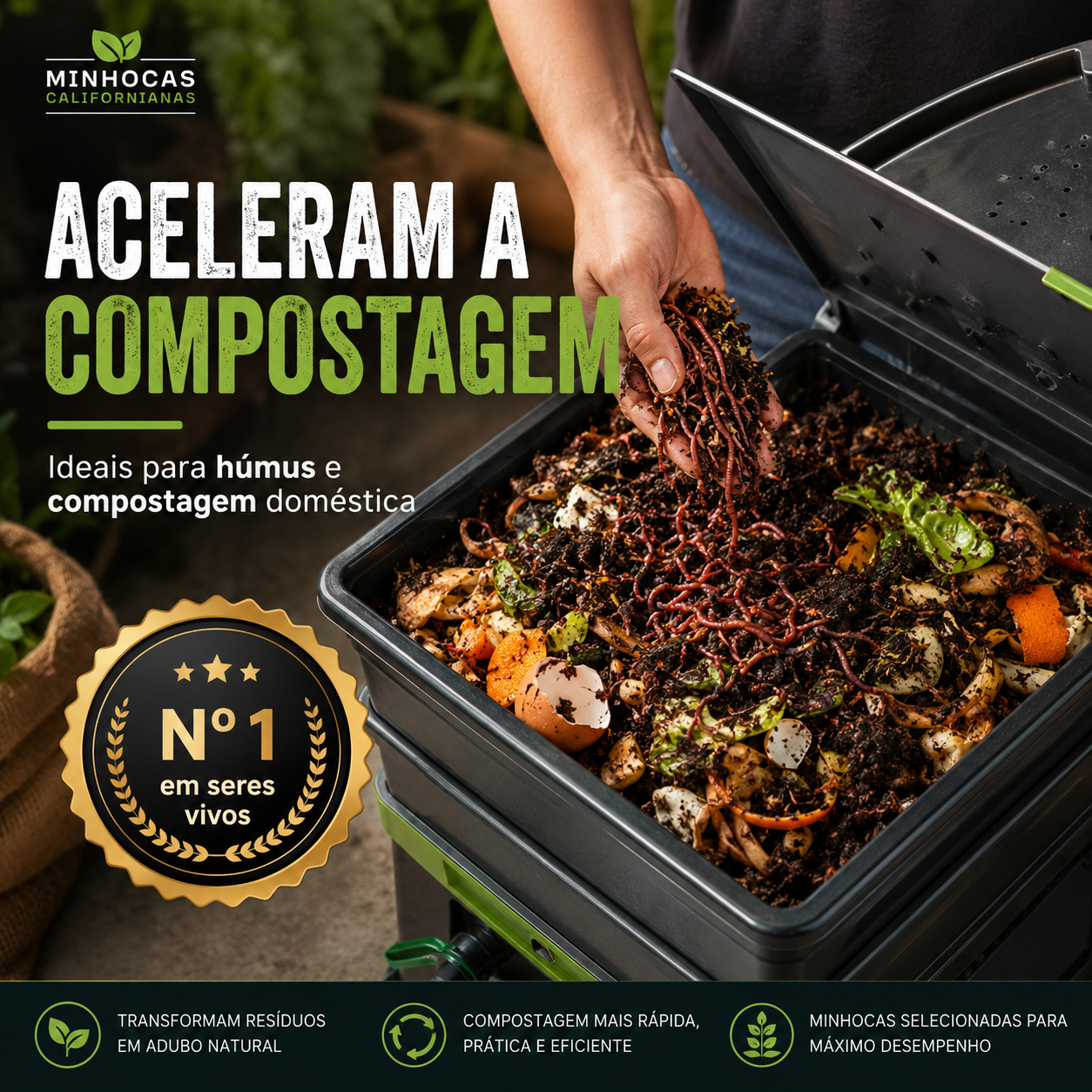 Minhoca Californiana Para Compostagem Húmus - foto 2