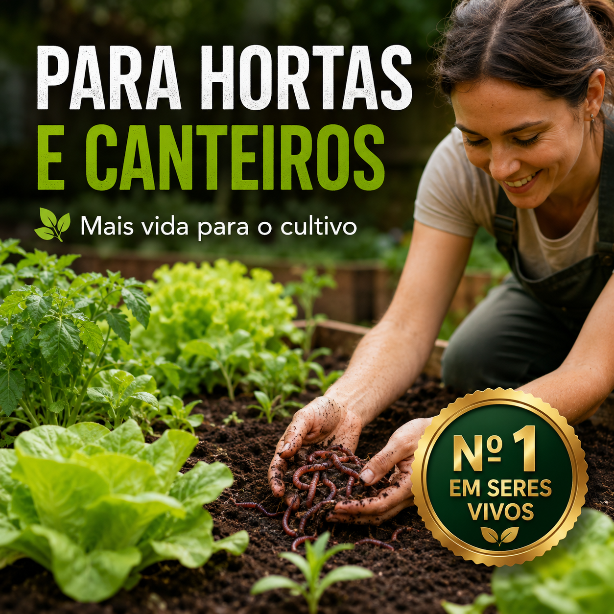 Minhoca Californiana Para Compostagem Húmus - foto 5