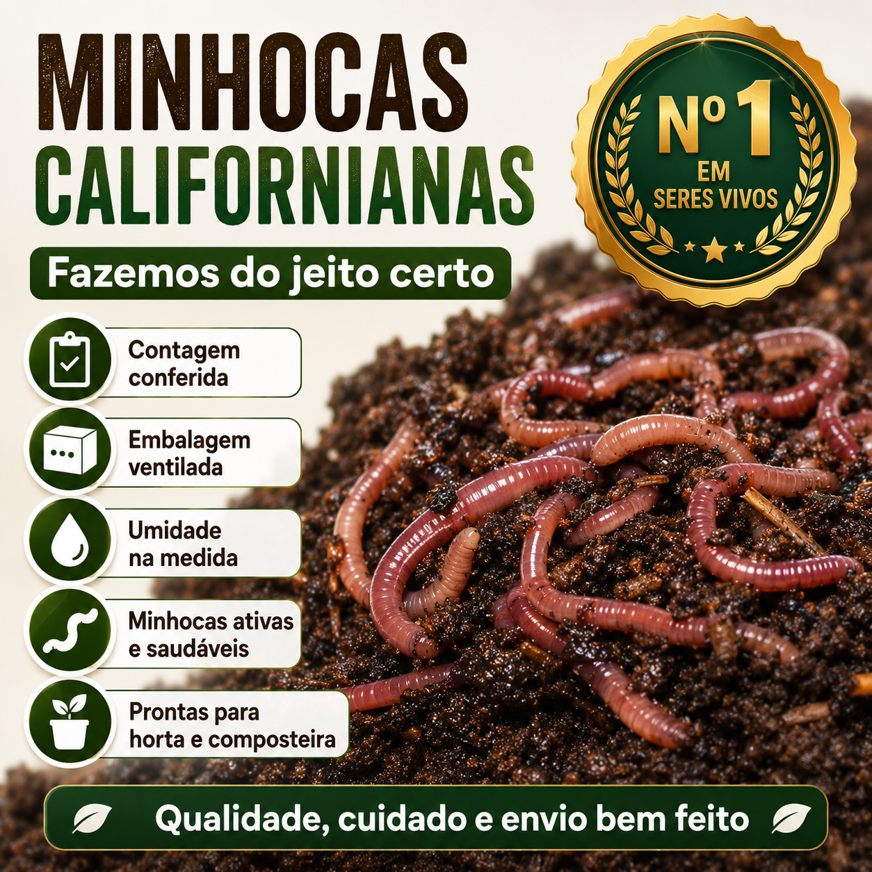 Minhoca Californiana Para Compostagem Húmus - foto 6