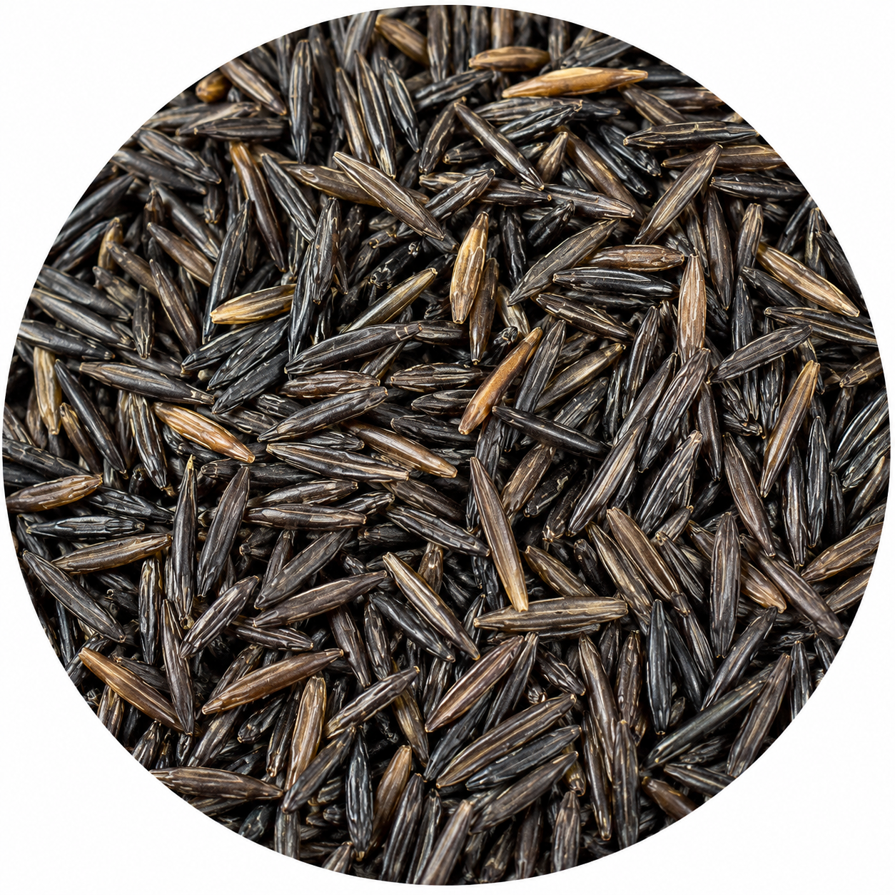 Casca De Arroz Carbonizada Premium 50 Litros Substrato Para Plantas E Jardim