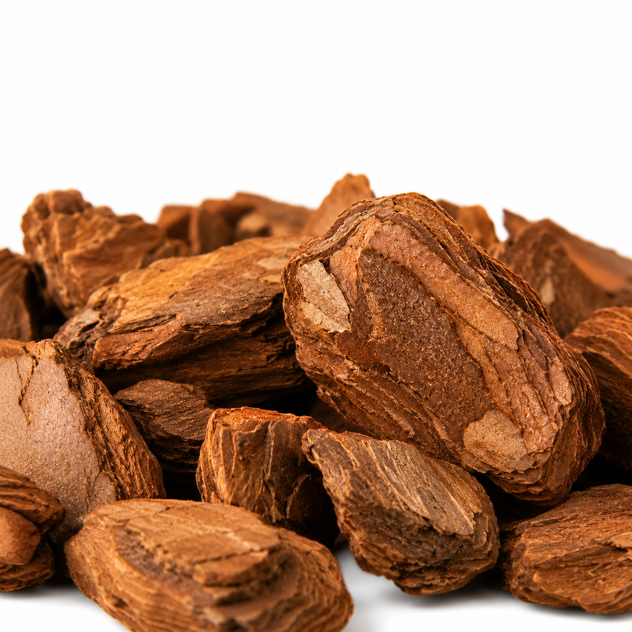 Casca De Pinus Premium Polida 6kg
